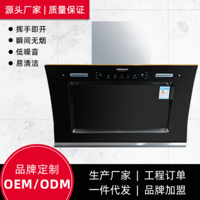 厂家直销抽油烟机 侧吸式厨房家用双电机抽油烟机 定制款|ru