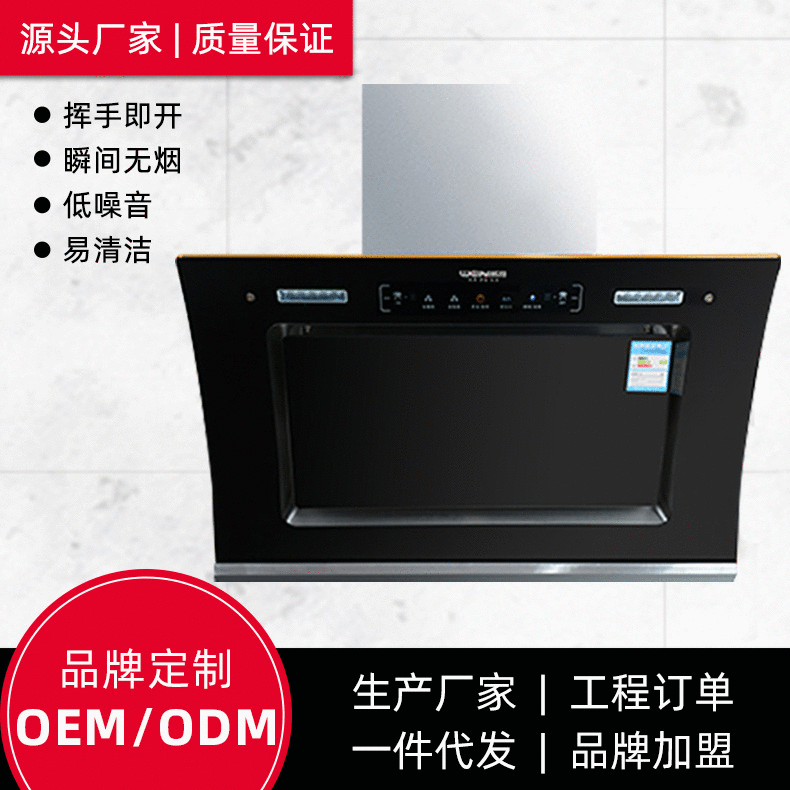 厂家直销抽油烟机 侧吸式厨房家用双电机抽油烟机 定制款|ru
