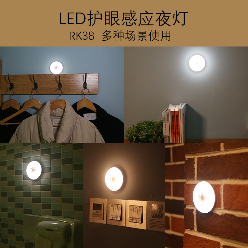 Small LED induction night light