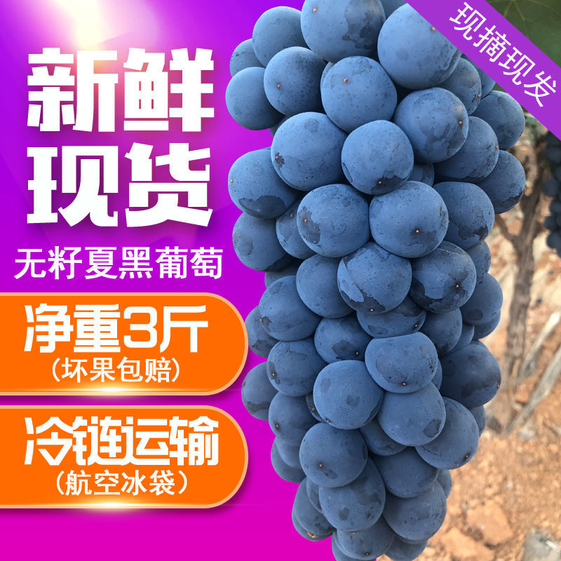 云南夏黑葡萄新鲜水果当季无籽黑提应季提子现摘现发3斤包邮|ms