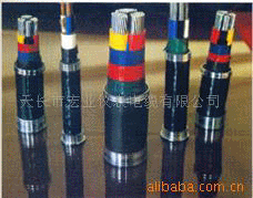 ������ȼ�����|ZRC-VV