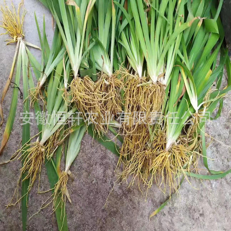 QQ图片20200207095820