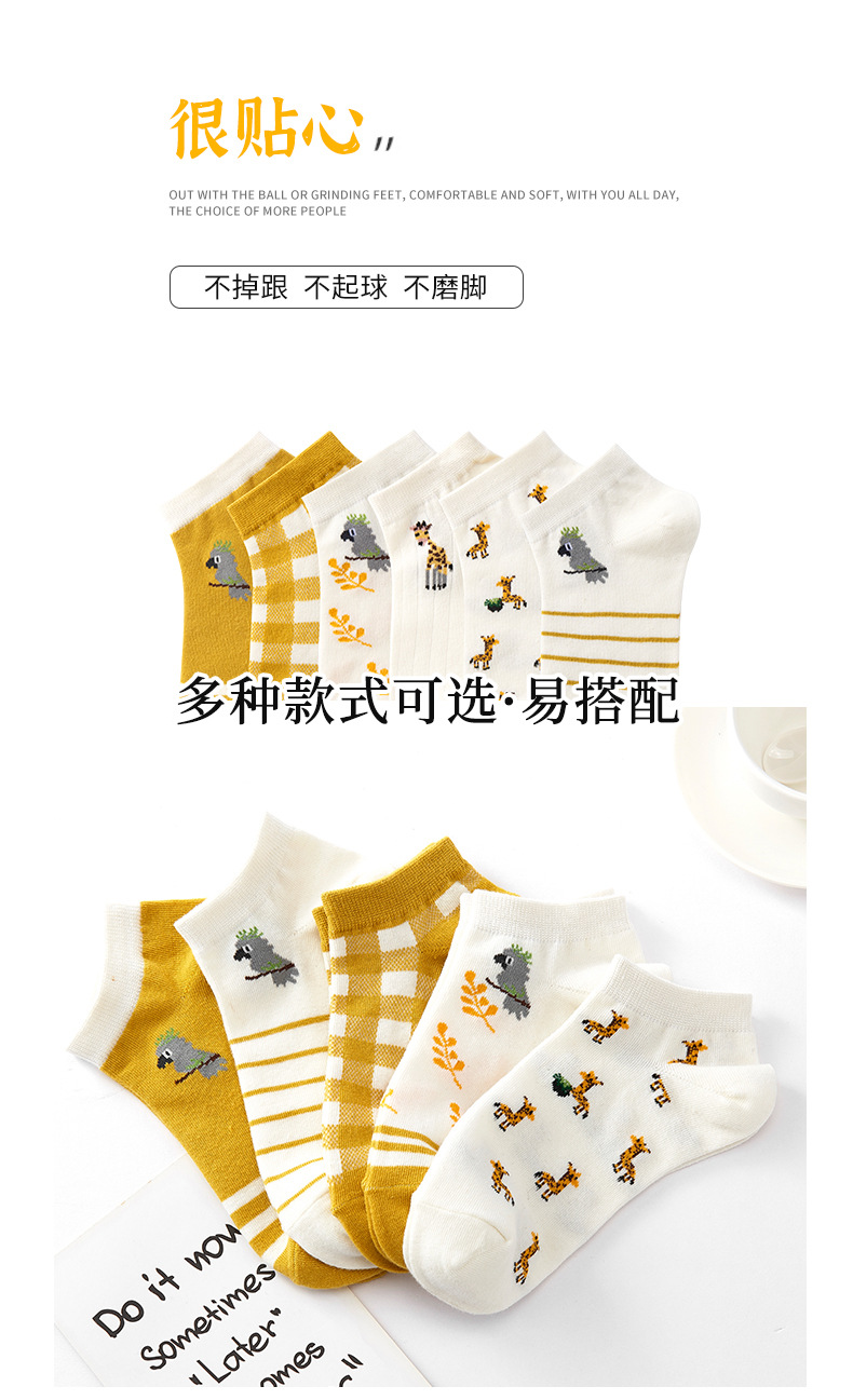 2053卡通动物女袜_02.jpg