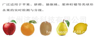 草莓分级机,蓝莓分选机,荔枝分拣机,杨梅选果机,杏子筛选机