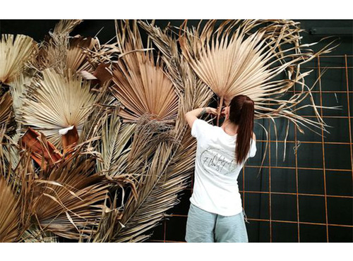 ins palm leaf palm leaf dried palm leaf forest wedding decoration props shop display soft furnishings floor decorations