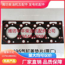 ��ԭ�S��495����w�|Ƭ �H���A�S���͙C��� 30���ϵ� ������h�r