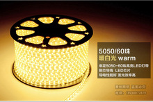 led5050LEDNƬܛlSֱN220v5050􎧑ˮ