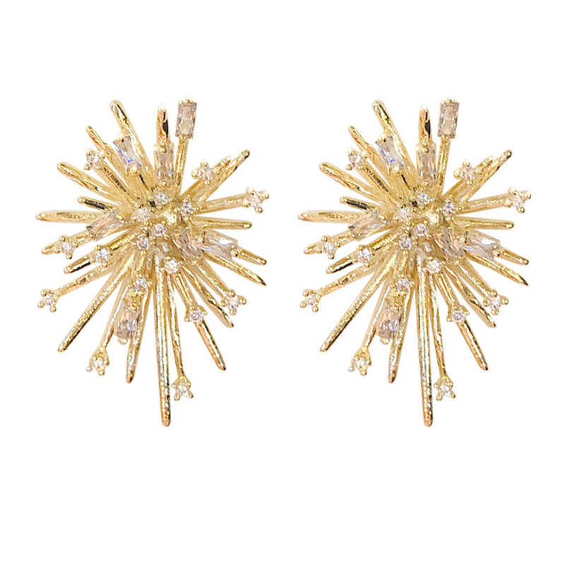 Firework Blasting Zircon Micro-set Earrings New Tide Earrings Women display picture 6