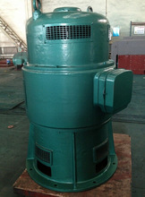 JSL-13-10 200KW 380V 590rpmʽˮ늙CӾ