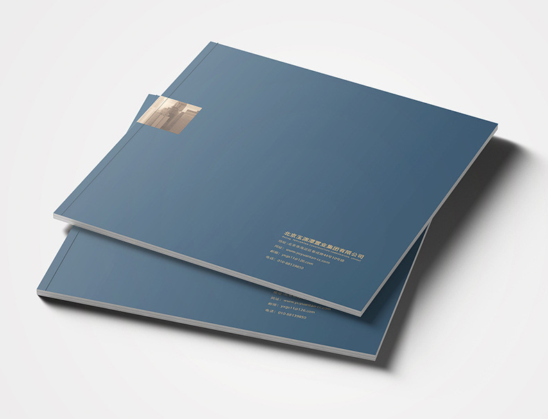 Flyers Posters Album Printing Album Printing Brochure Customization