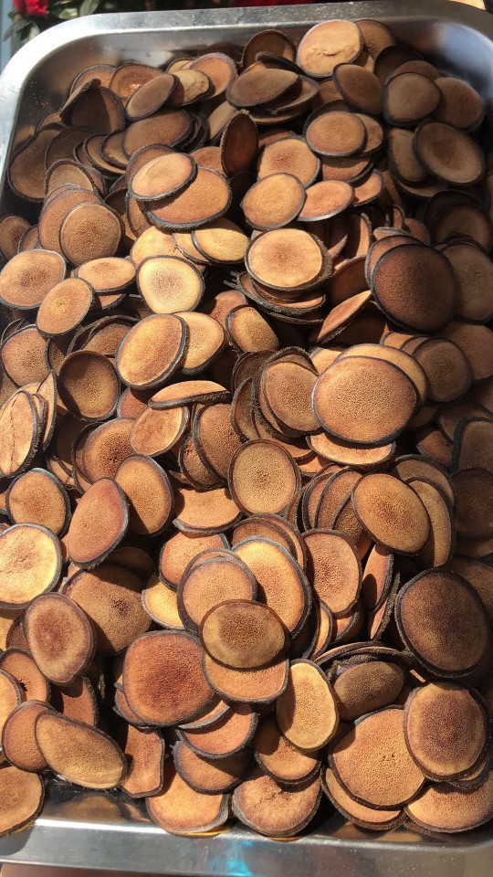 鹿茸片 梅花鹿茸粉片 红粉片 白粉片 鹿茸粉片 鹿乡供货?