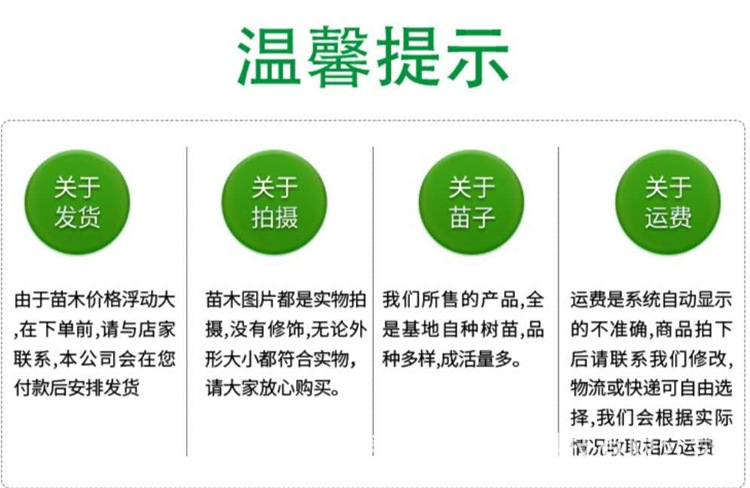 cb06a87c6abc520f171b287d022c60