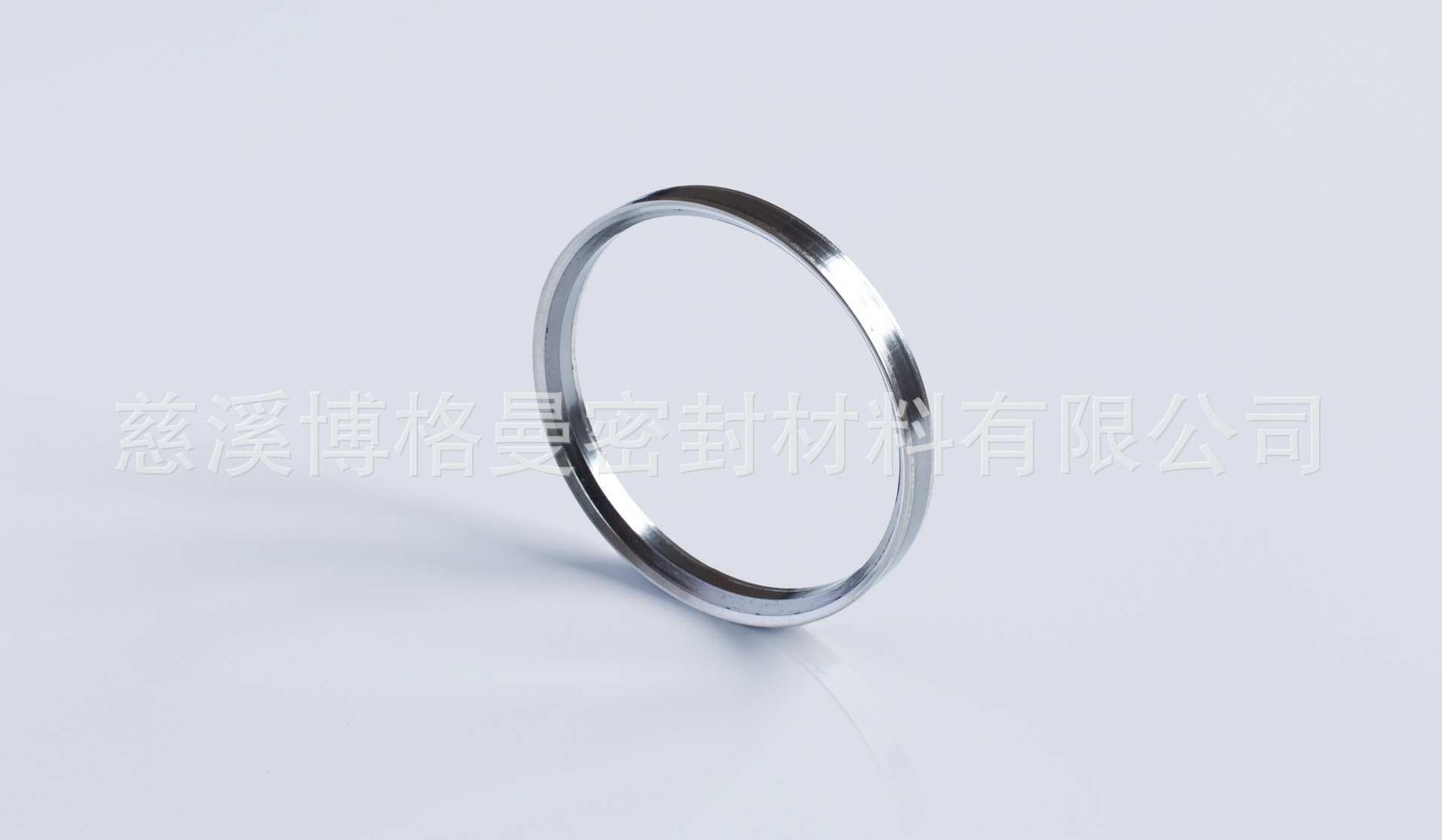 博格曼 BPG 6903 自密封