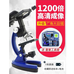 �����@΢�R��ͯ�W���ƌW������b1200������С�W�����նY�������