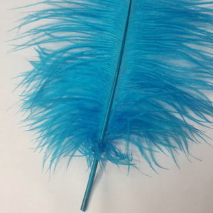 ����DIY�Ҿ��b��r�B��ë 30-35CM�r�Bβë��ɫ�F؛�ɫ��