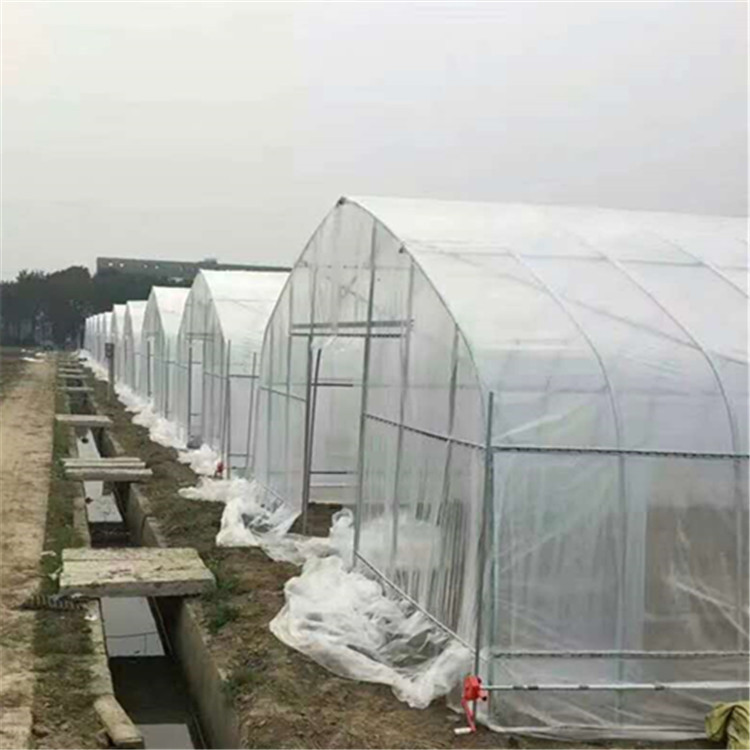 无锡厂家批发定做温室连栋大棚外遮阳温室大棚建设上门安装指导