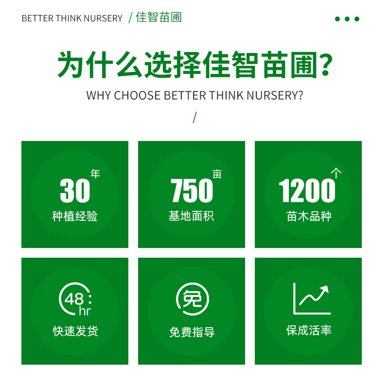 �޺���-����_02