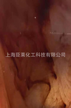 �������yɫĸ�� PP���yɫĸ 녲�ɫĸ �Բ�ɫĸ �»���ʯ���y