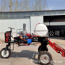 СxșC 15RʹșCʽșC