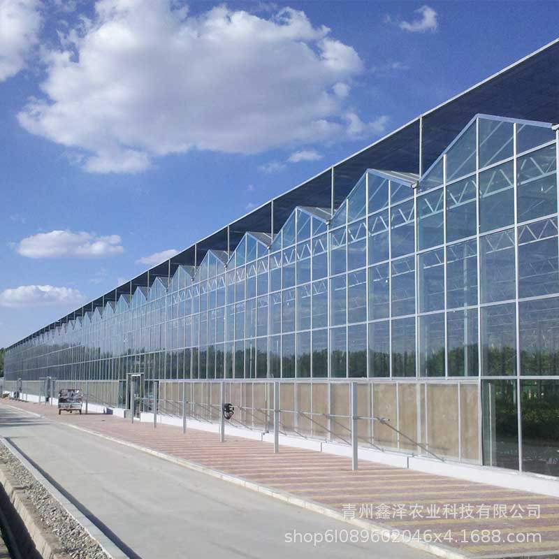 农业连栋温室大棚花卉种植大棚定制玻璃温室生产厂家温室材料加工