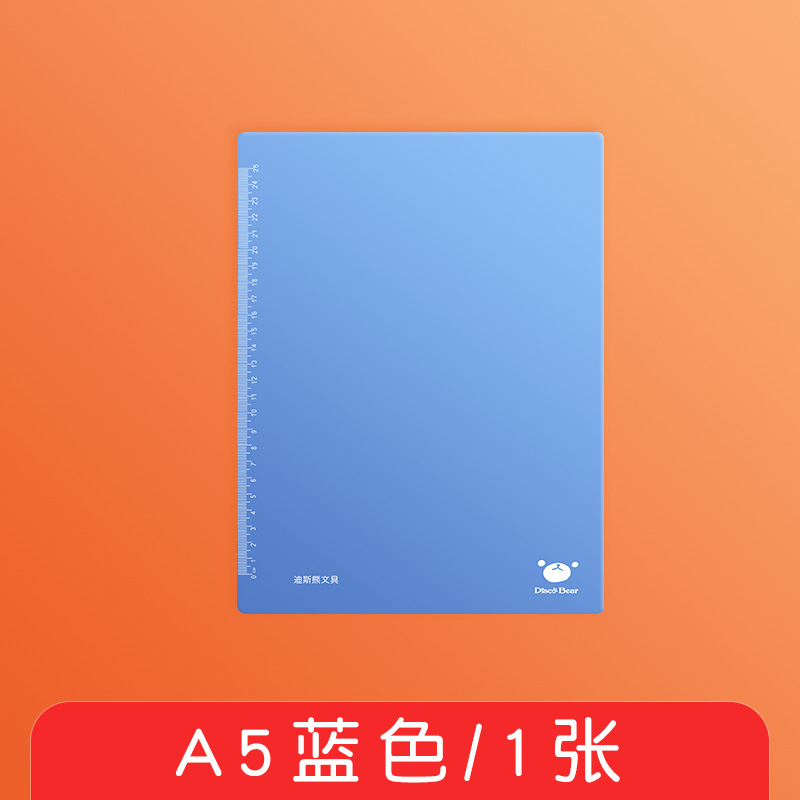 A5 스카이 블루 전단지