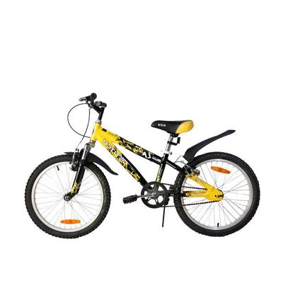 Qi doll children Bicycle boy 20 At the age of 3 4 years At the age of 5 6 years aluminium alloy Gear shift Mountain bike lion