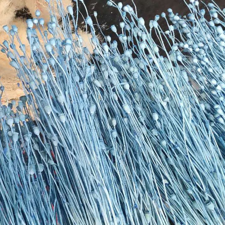 微信图片_20200102163418_副本