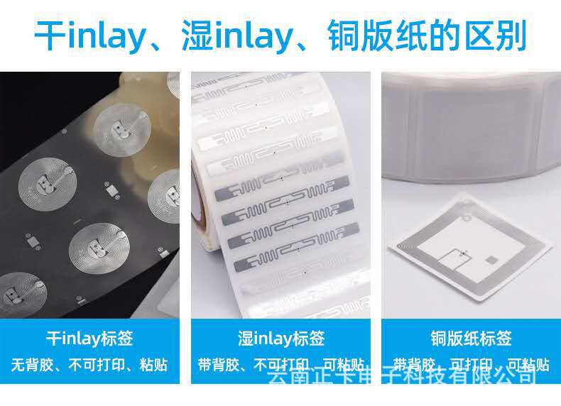 标签干,湿,白介绍