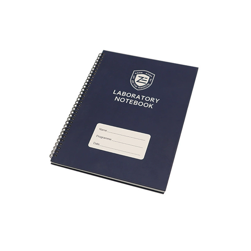 A4 горизонтальная линия для учеников младших и старших классов в классе