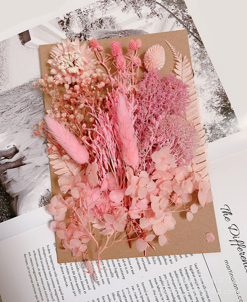 EB5A9E132E8DBD62B9CC350FBADC35