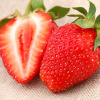 Cream fruit strawberry four seasons for growing plants indoor