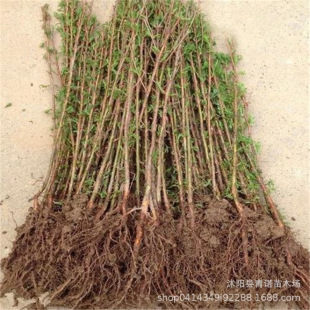 ���̾G���� ����ɼ ˮɼ ��ɼ Ҏ���Rȫ ��·�G�� С�^�G�� �F؛