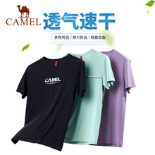 CAMELװٸɶt°·͸˶2020¿ļ