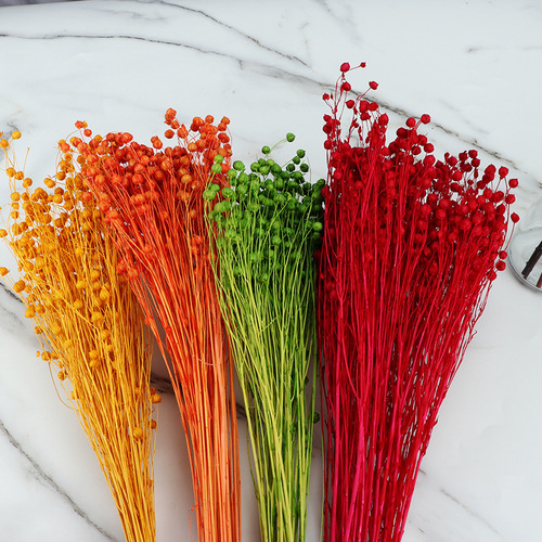 Factory direct supply of Yunnan eternal flower materials, dried flowers, rich bean craft gift materials, DIY flower arrangement materials