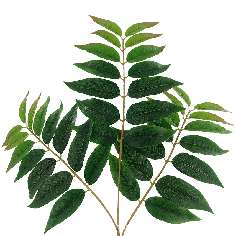 XRB-151天堂叶三叉枝 (1).jpg