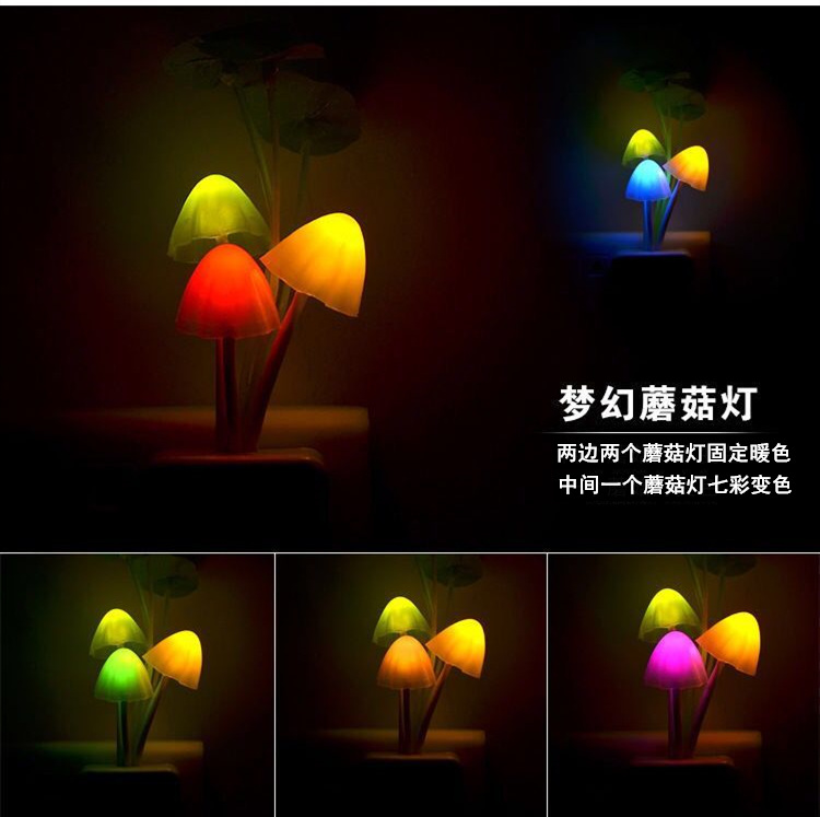 1590755965242_副本