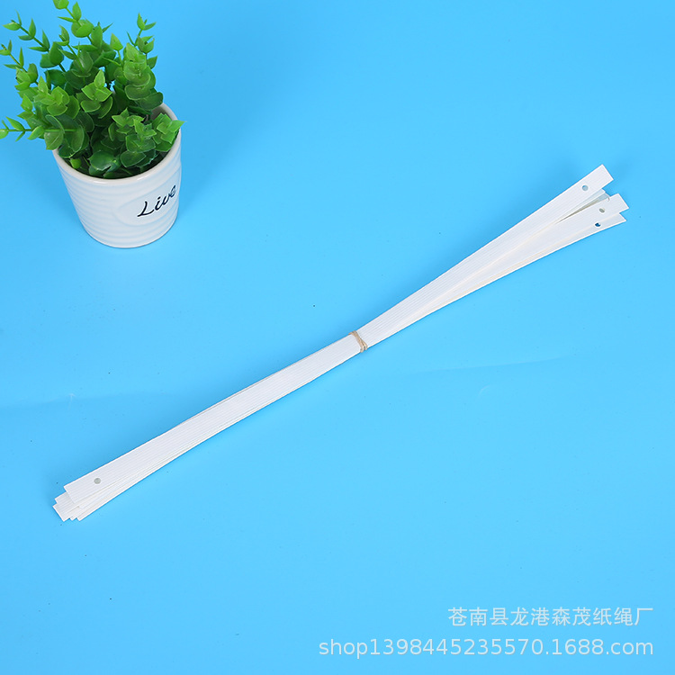 厂家热销牛皮纸绳排绳 彩色纸绳 手提袋纸绳 扁牛皮纸绳宽绳批发