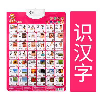 first grade pupil children study English Pinyin voiced pronunciation Pinyin Poster Vocalization Alphabet