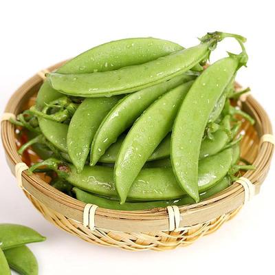 With box 10 Yunnan fresh Sugar snap peas green soya beans Pea pod Green peas Fresh vegetables