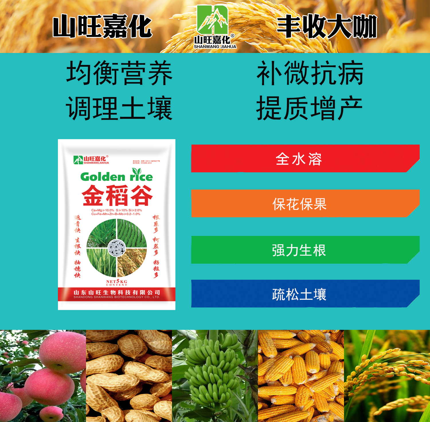 金稻谷