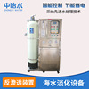 5 tons Desalination of sea water equipment Integration Water Treatment Equipment Pure Water Treatment Equipment Penetration device