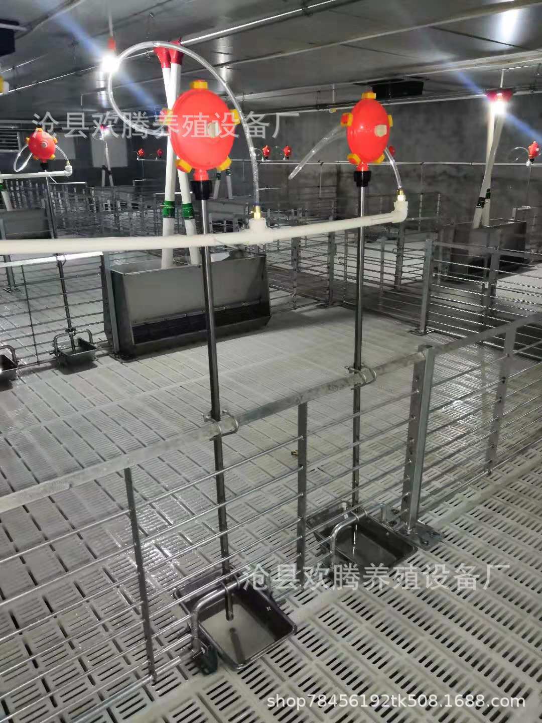 QQ图片20200426153321