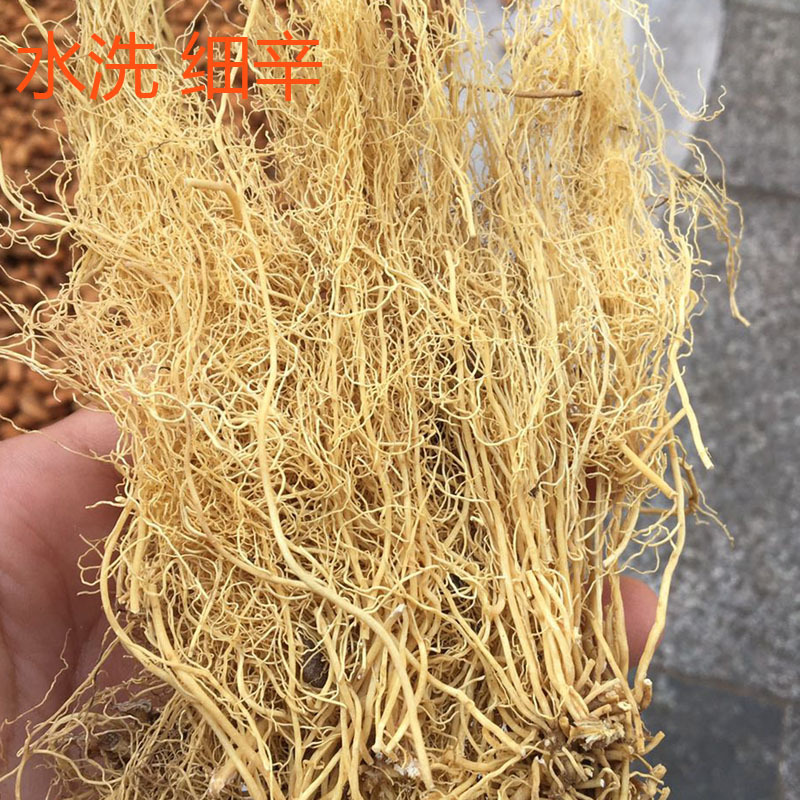 批发洗水北细辛 辽细辛 新货 中药材店铺批发