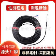 PT100�ضȂ�����̽�^�߾��ȟ��ż��ˮ����WZP�M���R�����K�����