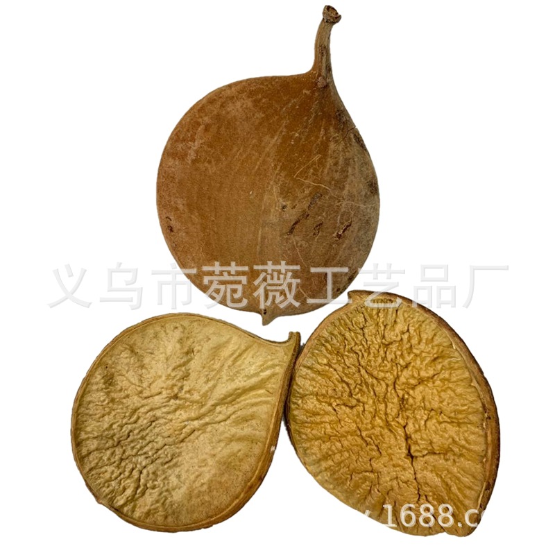 微信图片_20200422000101