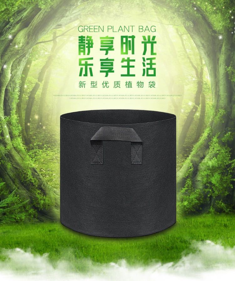 微信图片_20200603154155