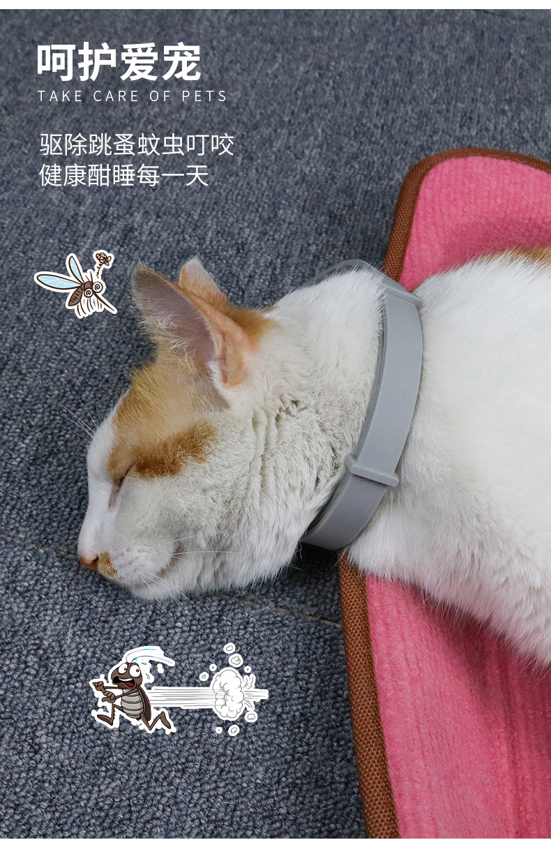 未标题-4.jpg