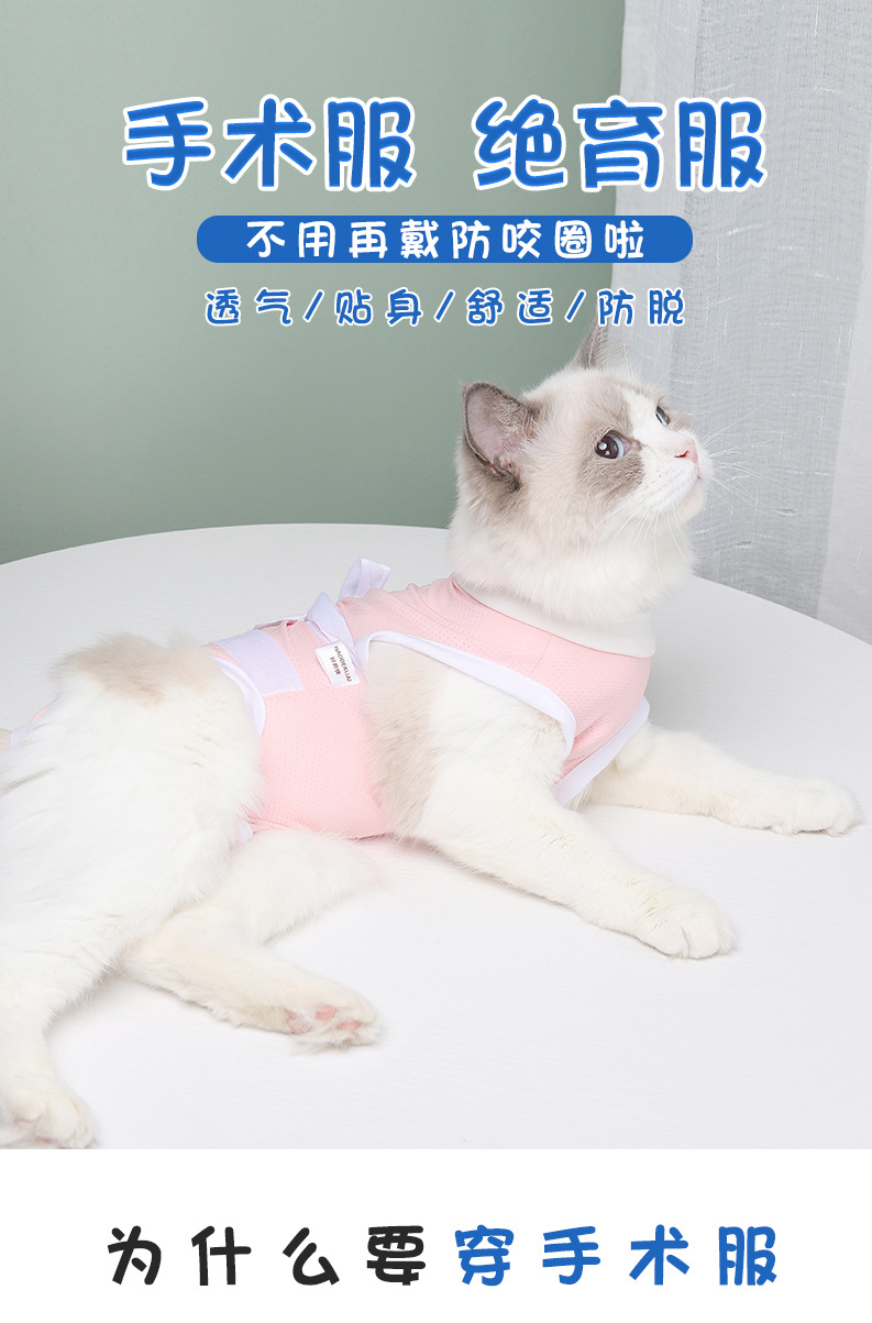 猫术服1.jpg