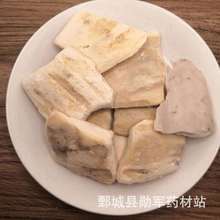 批发供应 海螵蛸 乌贼骨 海蛸 量大价优