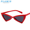 Fashionable brand sunglasses, trend glasses with bow, cat's eye